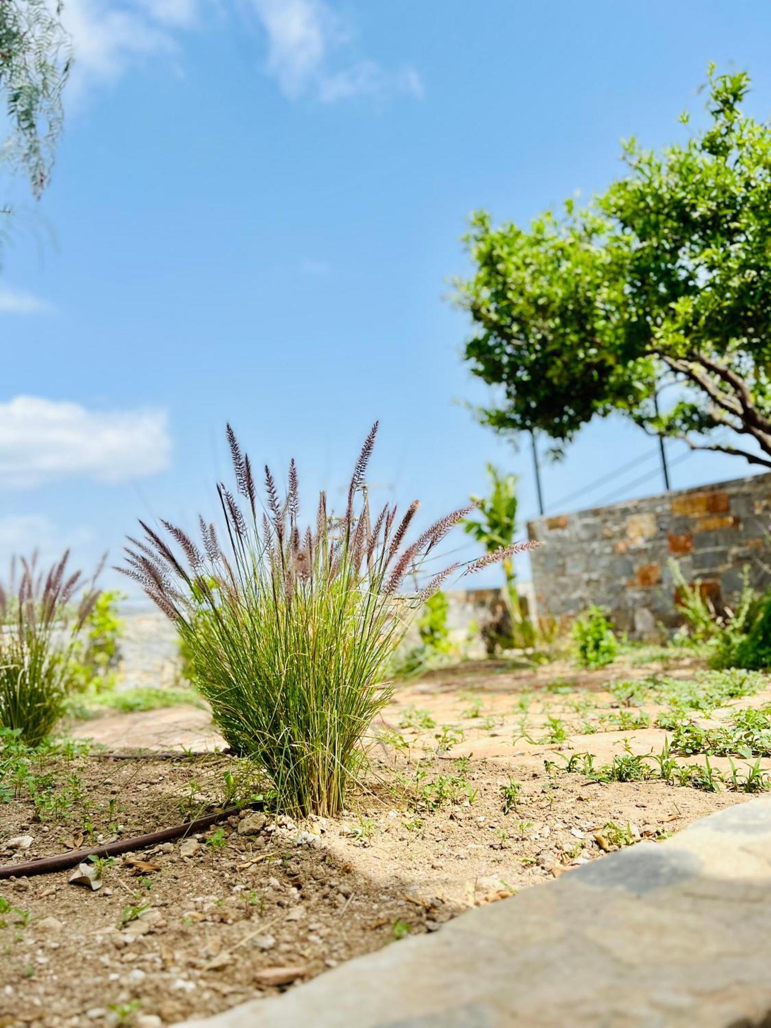 Gioma Garden Villas 이스트로 외부 사진